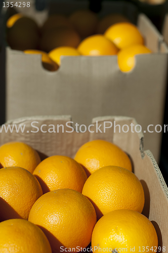 Image of Oranges in boxes