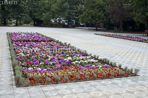 Image of Flower Park