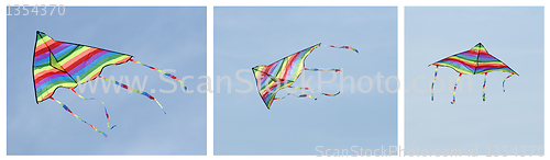Image of Multicolored kite