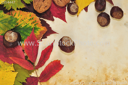 Image of Autumnal background