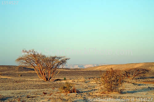 Image of Desert landscape