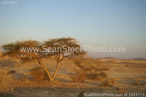 Image of Desert landscape