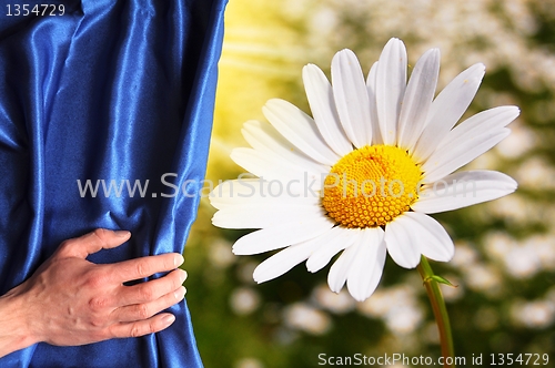 Image of flowers