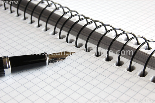 Image of fountain pen 