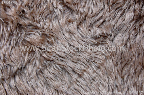 Image of pelt texture