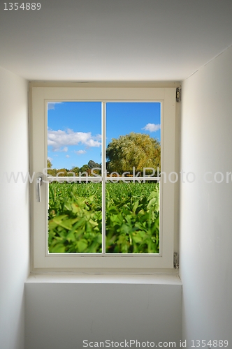 Image of window and nature