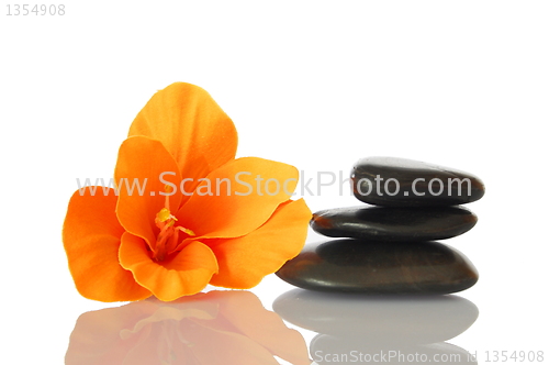 Image of flower