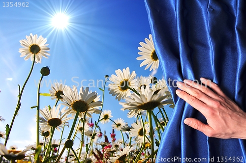Image of flowers