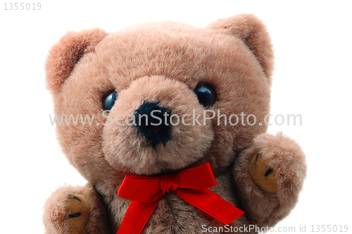 Image of teddy bear isolated on white background