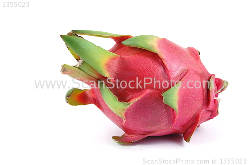 Image of Dragon fruit