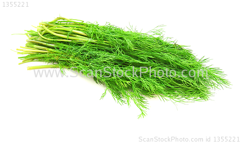 Image of fennel on a white background
