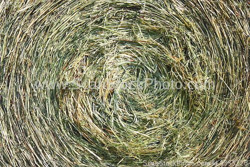 Image of A close-up shot of a large bail of hay