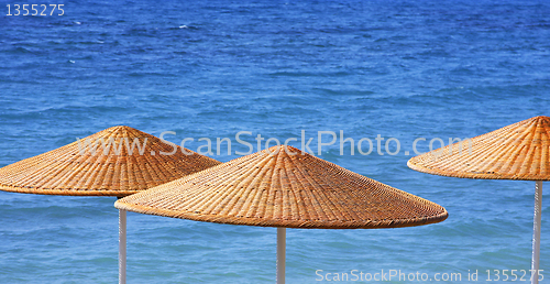 Image of Beach Umbrelas