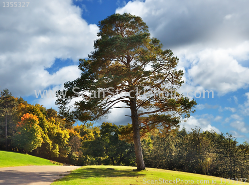 Image of autumn landscape