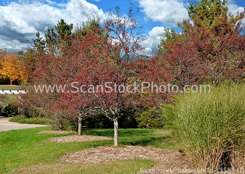 Image of autumn park