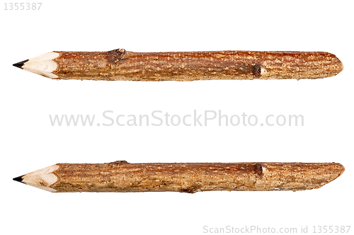 Image of Two pencils of aspen