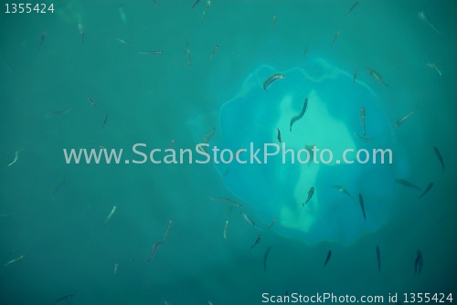 Image of Traffic sign under water