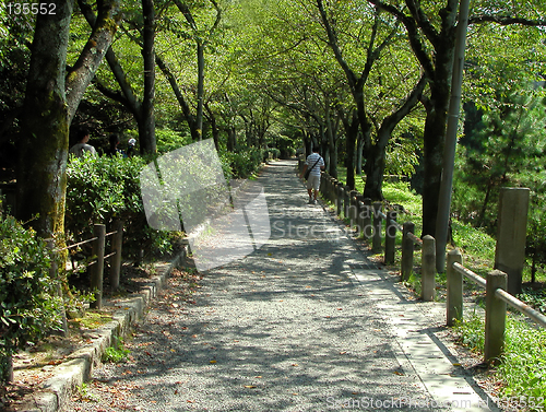 Image of Philosopher's path-Tetsugaku no michi