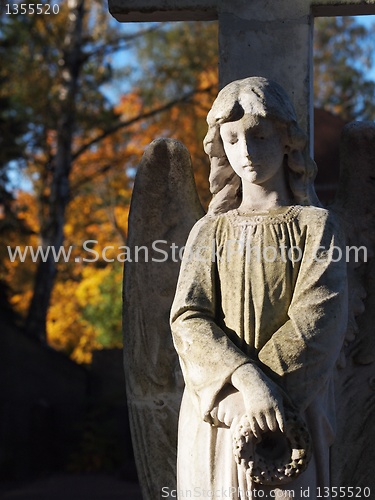 Image of Stone Angel 