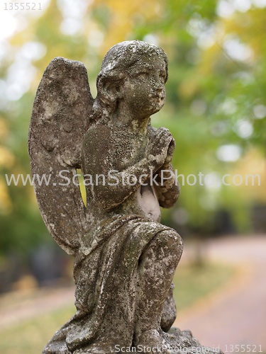 Image of Stone Angel 