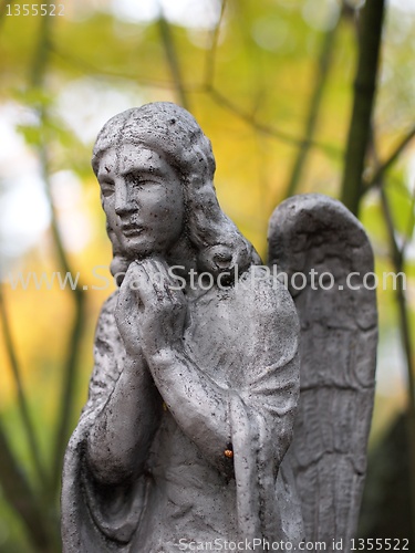 Image of Stone Angel 