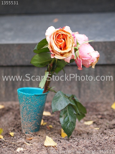 Image of Roses