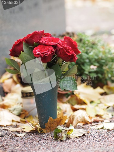 Image of Red Roses