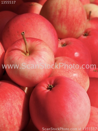 Image of Red Apples