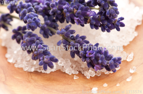Image of Lavender flowers and the bath salt - beauty treatment 
