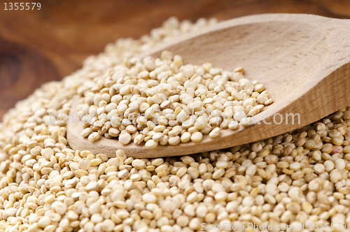 Image of Quinoa grain