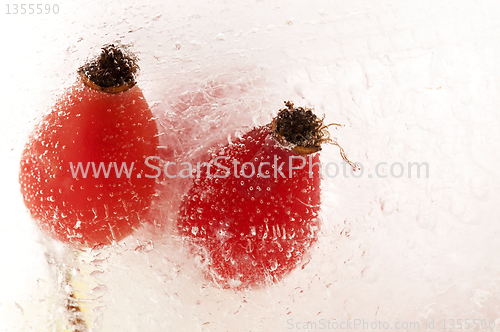 Image of Frozen rose hips