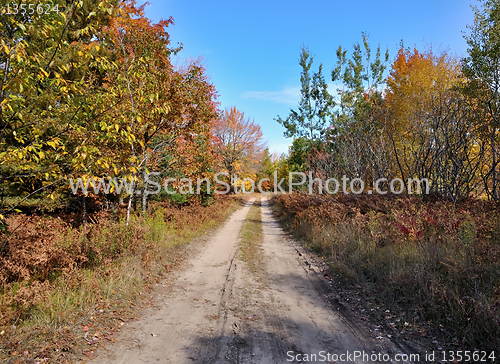 Image of rural road and autumn forest