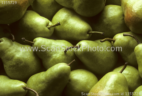 Image of Bartlet Pears