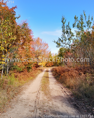 Image of rural road and autumn forest