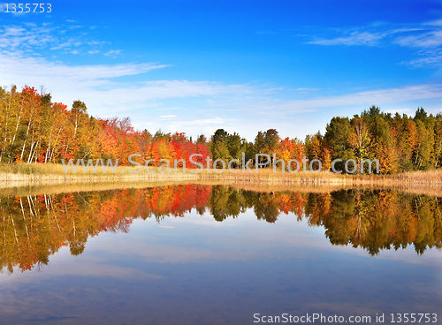 Image of autumn landscape