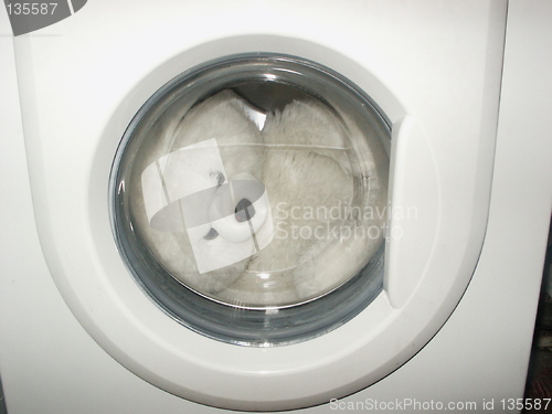 Image of Toy in the washing machine