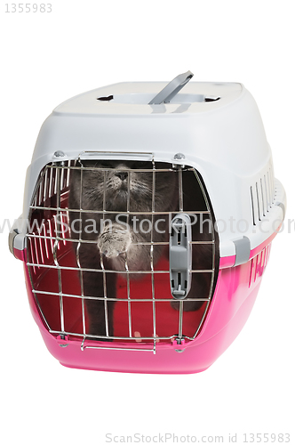 Image of Pet carrier with cat