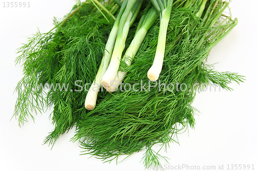 Image of Fresh green dill and onion.