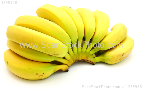 Image of Bunch of bananas isolated on white background