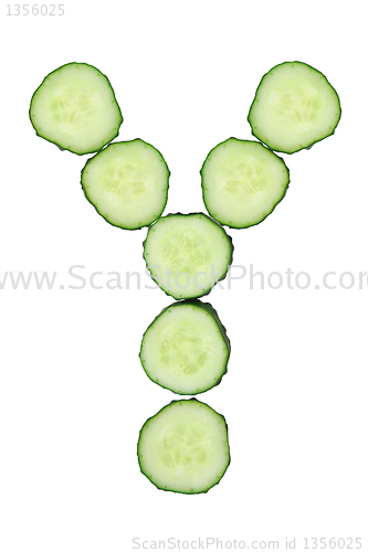 Image of Vegetable Alphabet of chopped cucumber  - letter Y