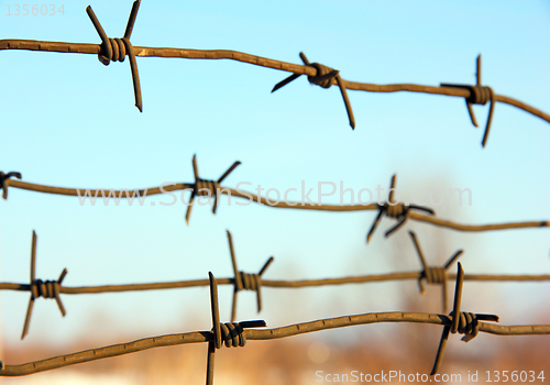 Image of barbed wires against blue sky.