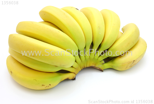 Image of Bunch of bananas isolated on white background