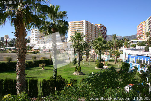 Image of oasis on the beach