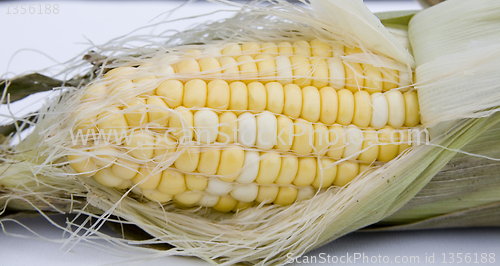 Image of cob of corn