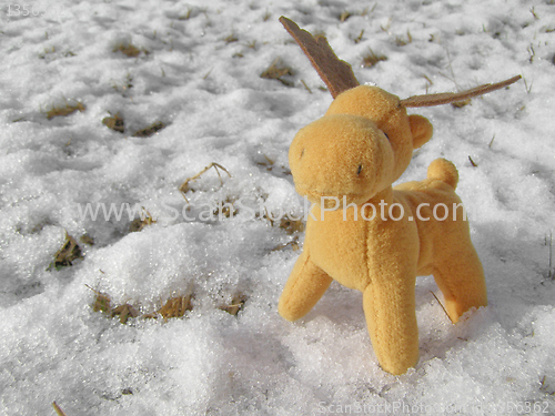 Image of Deer