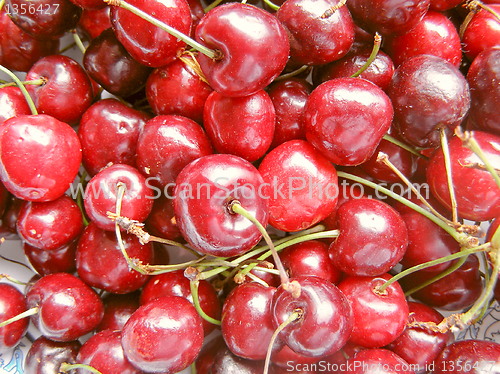 Image of Cherry