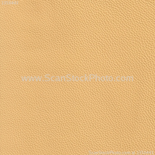 Image of beige leather 