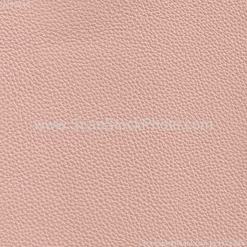 Image of leather
