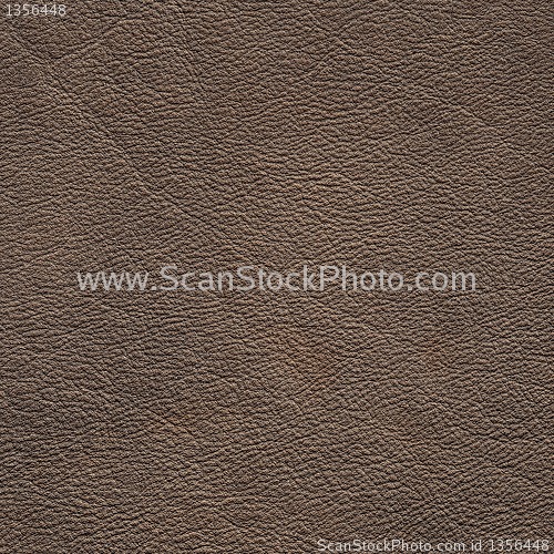 Image of leather
