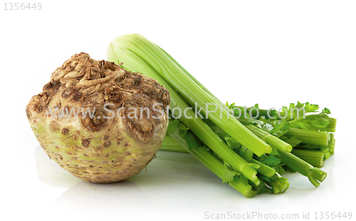 Image of celery